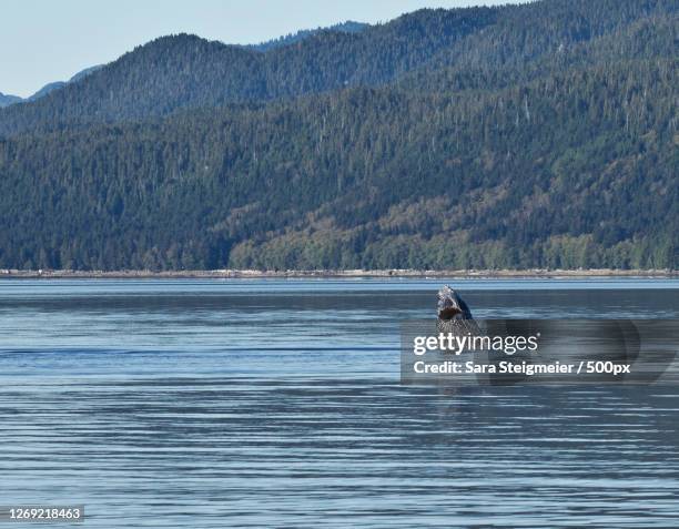 Kitimat View Kitimat Photos and Premium High Res Pictures - Getty Images