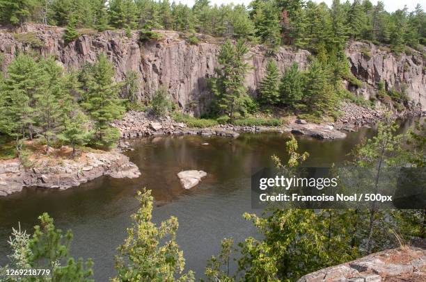 scenic view of lake in forest, greater sudbury, canada - greater sudbury canada stock pictures, royalty-free photos & images