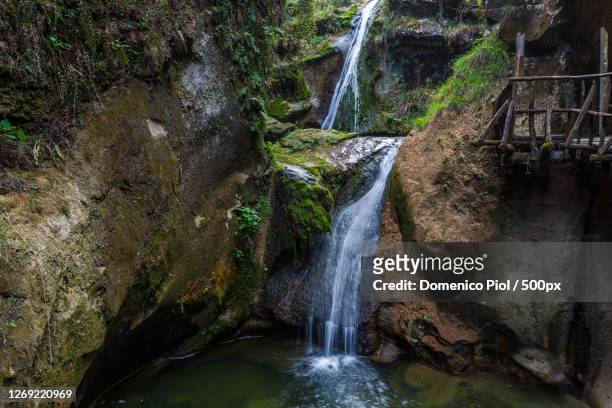 scenic view of waterfall in forest, fregona, italy - fregona stock pictures, royalty-free photos & images