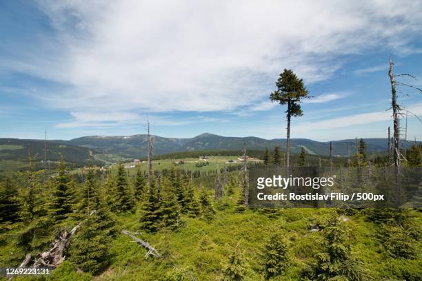 scenic view of landscape against sky - riesengebirge stock-fotos und bilder