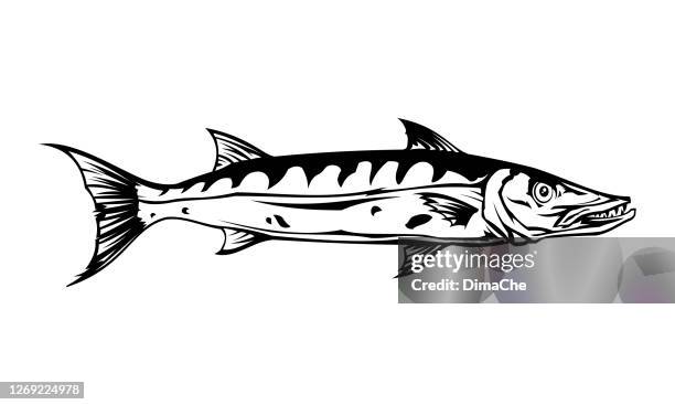 stockillustraties, clipart, cartoons en iconen met het vissensilhouet van barracuda - uitgesneden vectorpictogram - barracuda