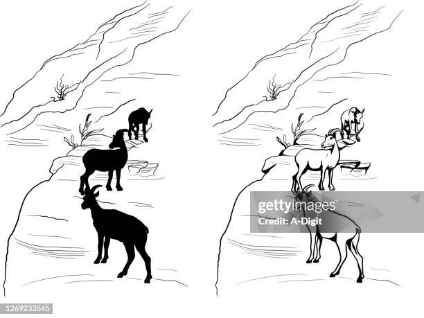 mountain goats family unit silhouette - goats foot stock illustrations