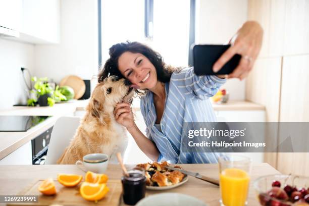 woman with pet dog eating breakfast indoors at home, taking selfie with smartphone. - animal selfies stockfoto's en -beelden
