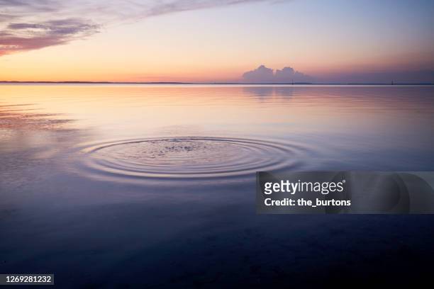 rings in water of the sea and reflection of the sky during sunset - tranquility stock-fotos und bilder