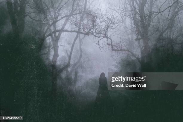 a spooky silhouette of a woman standing on a path in a forest. with a blurred, vintage abstract edit - retro horror stock pictures, royalty-free photos & images