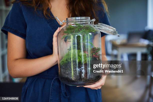 close-up of woman holding terrarium in glass jar at home - terrarium photos et images de collection