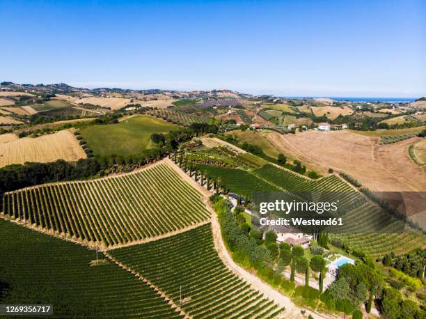 italy, marche, aerial view of green countryside landscape in summer - region marken stock-fotos und bilder