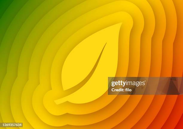 autumn leaf changing color abstract background - reggae stock illustrations