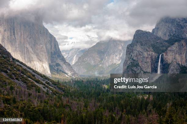 yosemite valley with low clouds - imponente 個照片及圖片檔