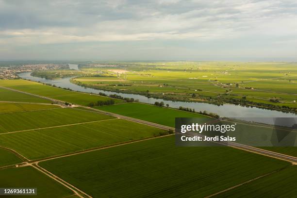 rice fields at the ebro delta - ebro river - fotografias e filmes do acervo