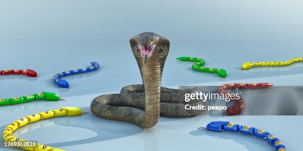 king cobra serpiente boca abierta rodeado de serpientes plásticas de juguete - cobra rey fotografías e imágenes de stock