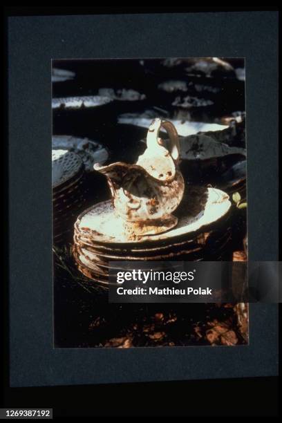 La chasse au trésor d'Alexander Zu Lynar-Redern - Le service de porcelaine de Meissen, enterré en 1945, vient d'être déterré.