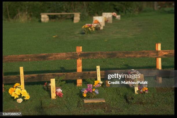 Tamagotchis tombs in the Tamagotchi cemetery in Portsmil, Cornwall