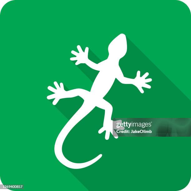 lizard icon silhouette 1 - gecko stock illustrations
