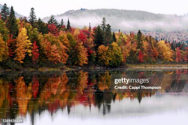 autumn tree reflections along the androscoggin river in dummer, new hampshire usa - appalachia stock-fotos und bilder