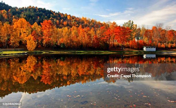 brilliant new england foliage along a small pond in new hampshire white mountains national forest, usa - new england usa fotografías e imágenes de stock