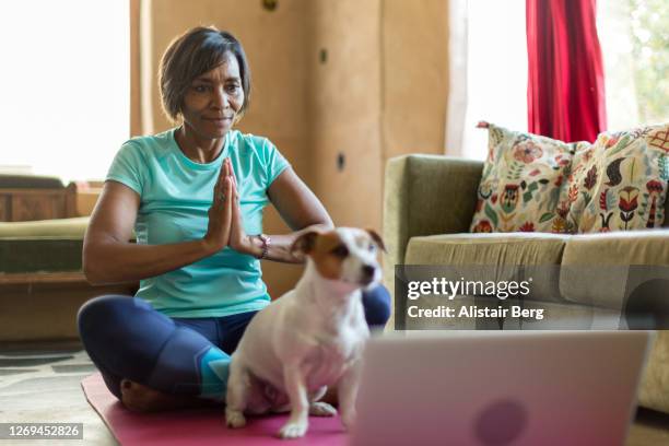 mature woman doing yoga with an on-line tutorial from her laptop during covid lockdown - dog stretching stock pictures, royalty-free photos & images