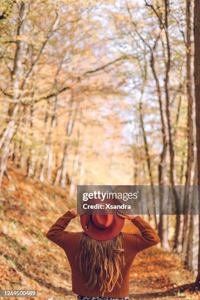 frau im herbstwald - automne stock-fotos und bilder