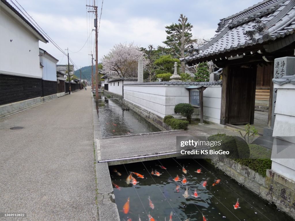 Japanese traditional town