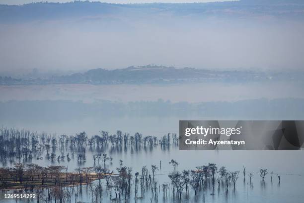 nakuru lake national park in the morning with fog - lake nakuru fotografías e imágenes de stock