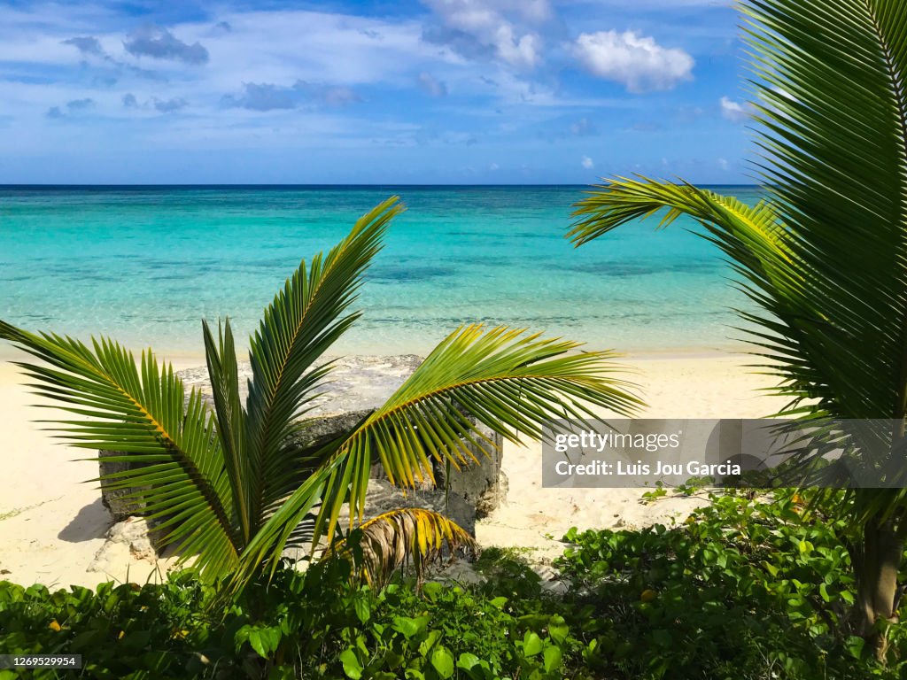 Idyllic beach with transparent water