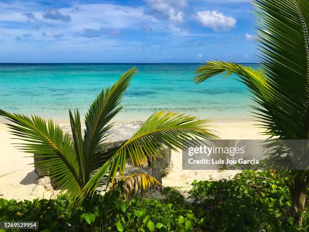 idyllic beach with transparent water - barrigada stock pictures, royalty-free photos & images