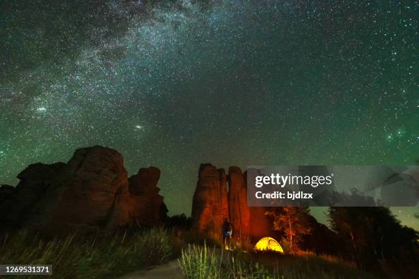 vintergatan korsar stenskogen i ashhatu, inre mongoliet, kina - inner mongolia bildbanksfoton och bilder