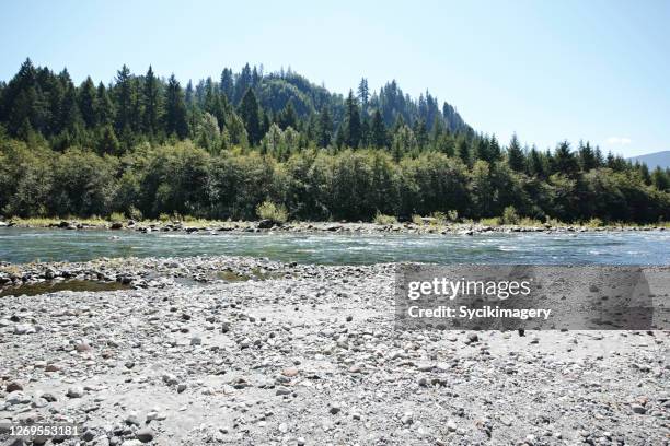 rocky river front view in washington state - riverside stock pictures, royalty-free photos & images