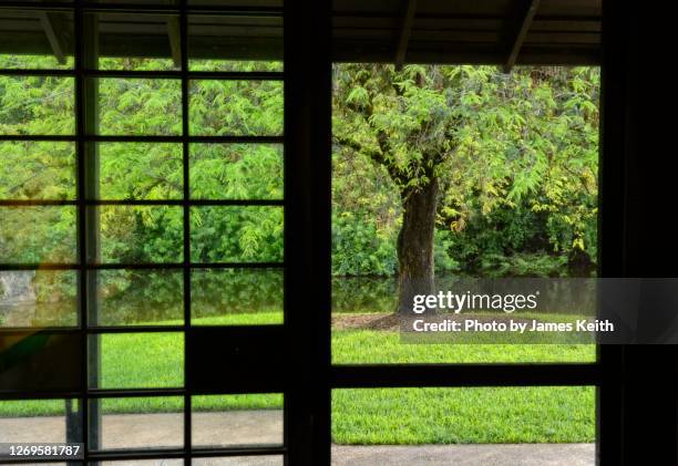 looking into the garden through a shoji screen. - engawa stock pictures, royalty-free photos & images
