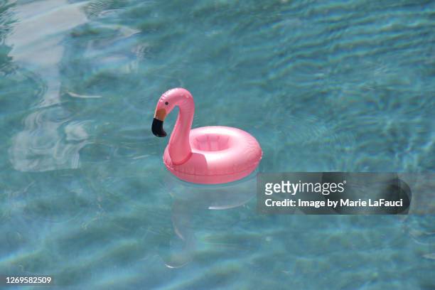 pink flamingo pool float in a swimming pool - flamingos stock-fotos und bilder