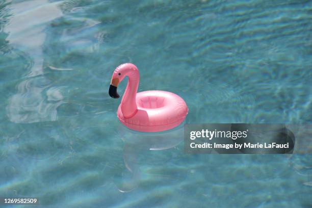 pink flamingo pool float in a swimming pool - airbed stock pictures, royalty-free photos & images