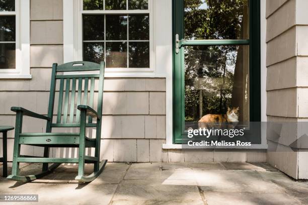 cat looking out a door - rocking chair stock pictures, royalty-free photos & images