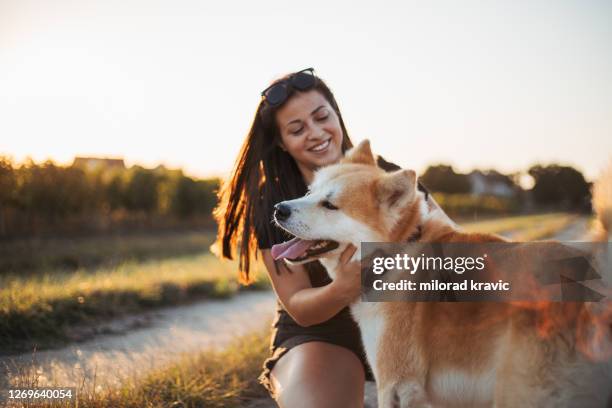 beautiful girl with a beautiful dog - akita inu stock pictures, royalty-free photos & images