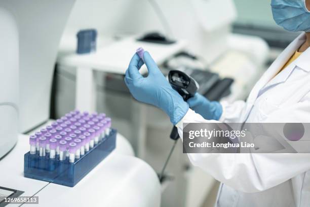 laboratory specimen testing - test tube rack stock pictures, royalty-free photos & images
