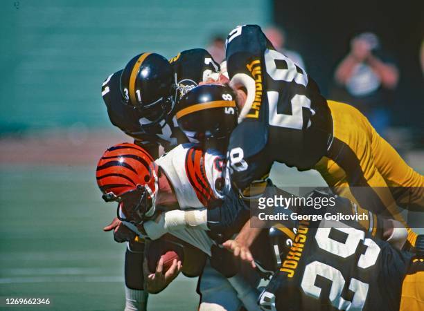 Safety Donnie Shell, linebacker Jack Lambert and cornerback Ron Johnson of the Pittsburgh Steelers tackle tight end Dan Ross of the Cincinnati...