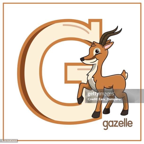 stockillustraties, clipart, cartoons en iconen met vectorillustratie van gazelle die op een witte achtergrond wordt geïsoleerd. met de hoofdletter g voor gebruik als onderwijs- en leermedia voor kinderen om engelse brieven te herkennen of voor kinderen om brieven te leren schrijven die thuis en op school  - safari animals