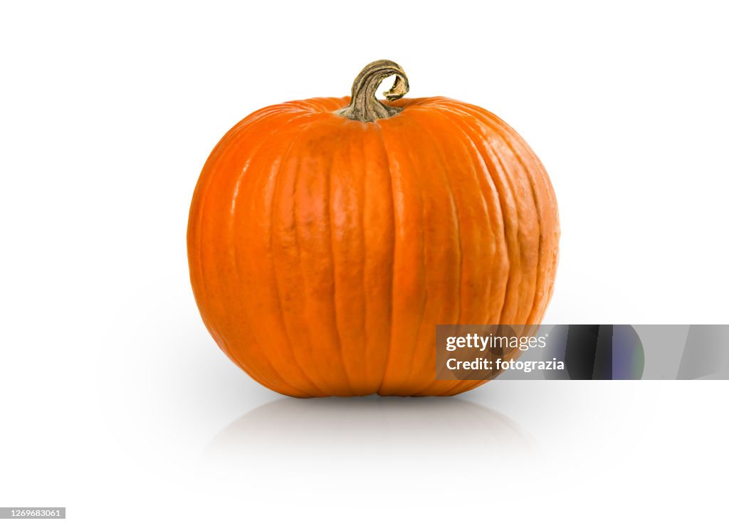 Pumpkin Isolated with added Reflection