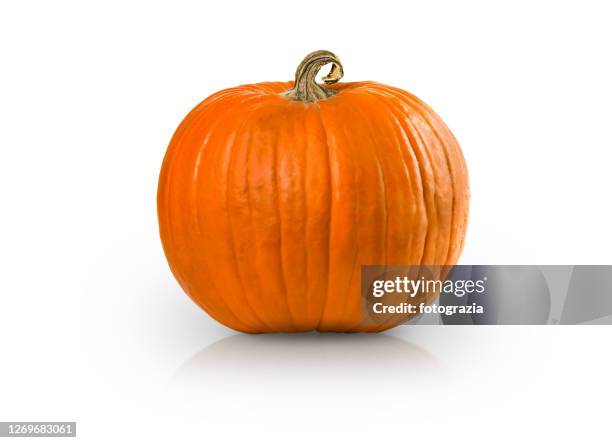 pumpkin isolated with added reflection - pompoen stockfoto's en -beelden