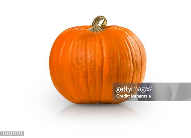 pumpkin isolated with added reflection - pumpa bildbanksfoton och bilder