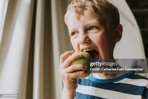 cute boy taking a huge bite of a green apple - chewing - fotografias e filmes do acervo