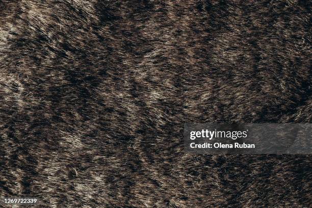 gray beautiful animal fur as background - fluffy stock pictures, royalty-free photos & images