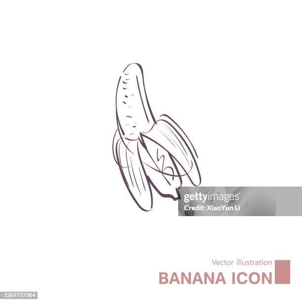 stockillustraties, clipart, cartoons en iconen met vector getrokken banaan. - lijnenspel