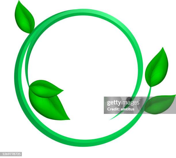 leaf ring - branch plant part stock illustrations