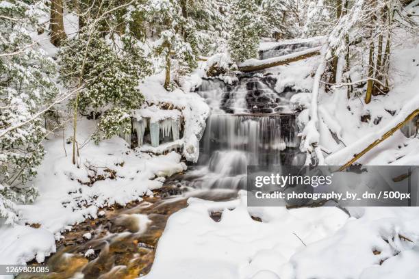 scenic view of waterfall in forest during winter, munising, united states - michigan winter bildbanksfoton och bilder