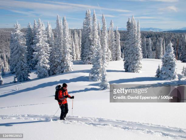 man hiking on snow covered mountain, steamboat springs, united states - steamboat springs stock pictures, royalty-free photos & images