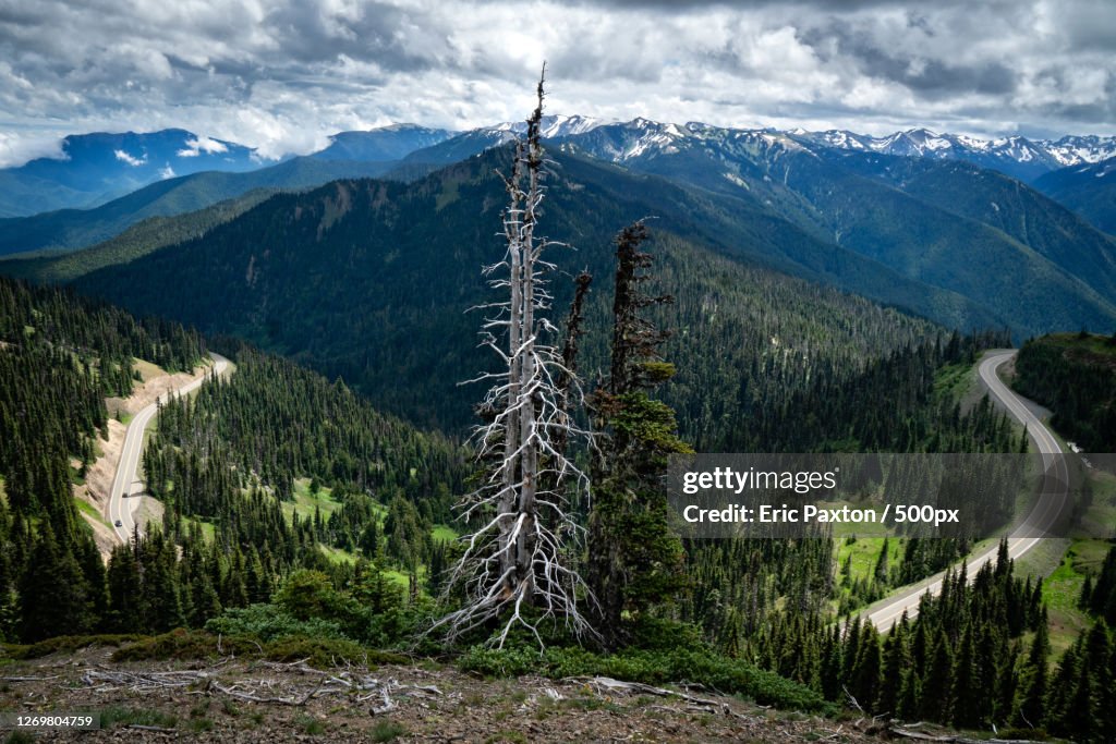 Scenic View Of Mountains Against Sky, Port Angeles East, United States