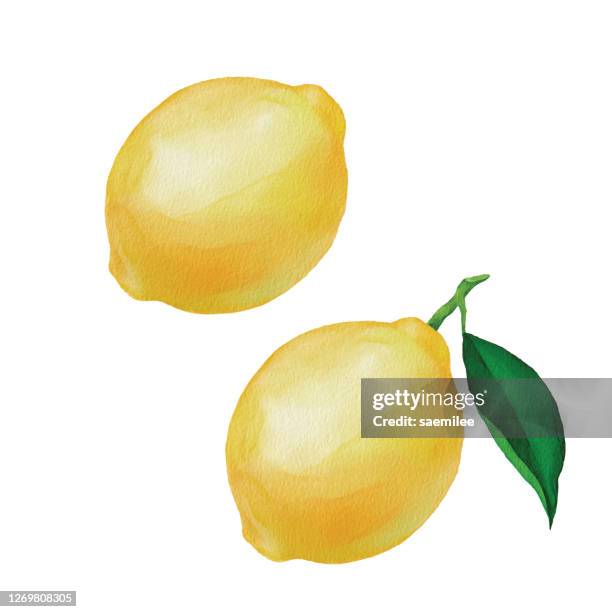 watercolor lemon - vitamin c stock illustrations