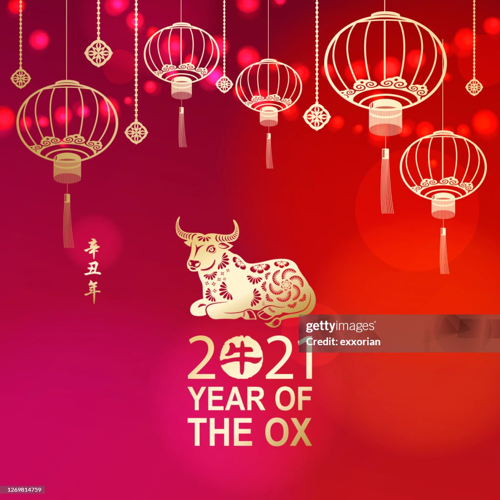 Feiern Sie das chinesische Neujahr mit Ox