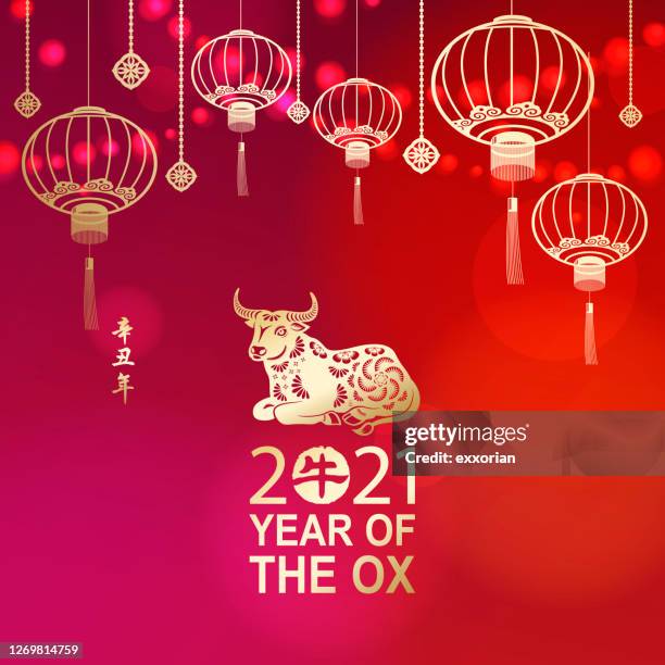 ilustrações de stock, clip art, desenhos animados e ícones de celebrate chinese new year with ox - lanterna