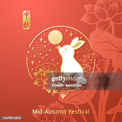 中秋滿月兔。 中秋滿月兔。